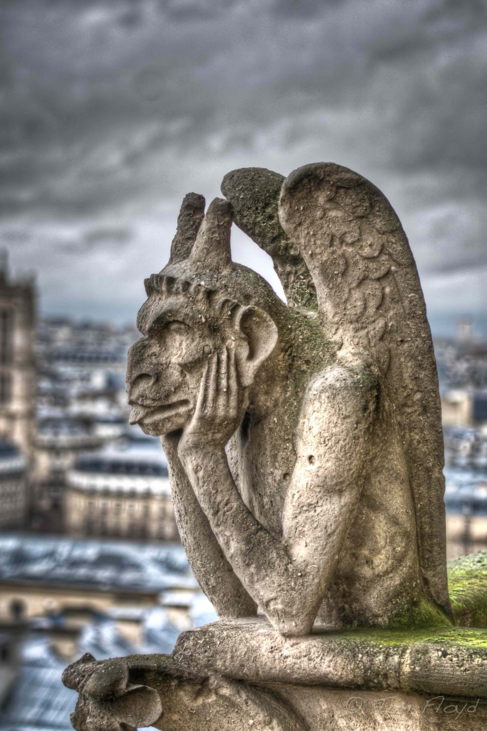 Is there a Gargoyle Hiding in Your Sonata?